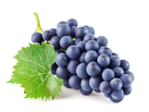 ����������Щ���� �����Ѻ�Ҫ���̺�ˮ