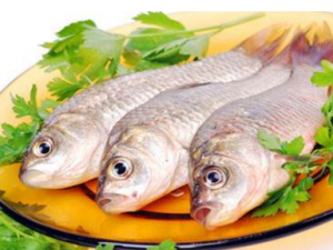 һ�����ڳ�����������������