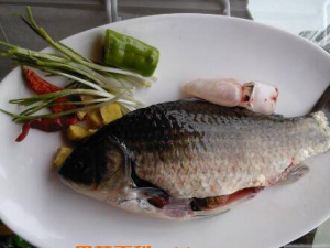 ����Ĺ�Ч������ ����΢��Ԫ��