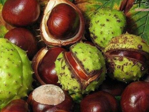 ����ӵĹ�Ч������ ����ӵ��÷�����