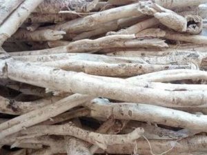 ����Ƥ�Ĺ�Ч������ ����Ƥ�Ľ���