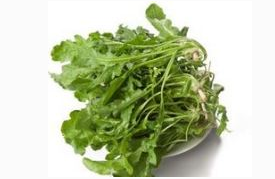 ���µ�Ƣθ����ԭ������Щ Ƣθ��������Ҫ�Ʒ�