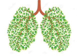 ���Ʒΰ�������Щƫ��