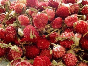 ����÷�Ĺ�Ч ����÷�Ľ���