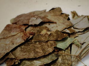 ��彺�Ĺ�Ч������ ��彺�÷�����