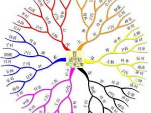 ��ҽ��������Щ���� ��֪����