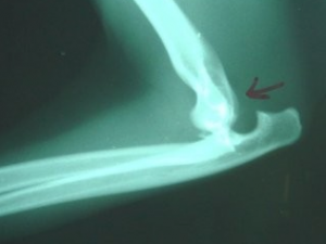 �Ѿ��˸���ô�� ��������Ѿ�