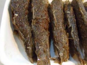 �Ǵ�����ó��� �Ǵ����������