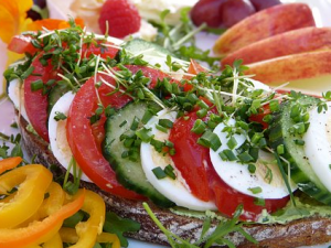 Ӫ����������ʽ��Ͳ��� һ����ѧѧ��