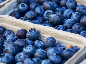 ���Ѹɲ��ܺ�ʲôһ��� �����˳����Ѹɵĺô�