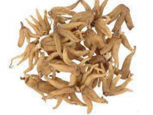 ���ƲεĹ�Ч������ �����Ʋ�ע������