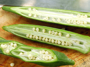 ������������� �����ô���Ӫ����ֵ����