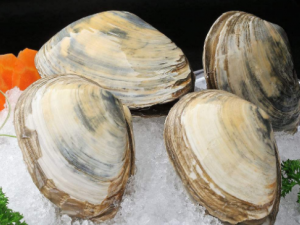 �����ѡ�Ӱ� �Ӱ�����ЩӪ����ֵ