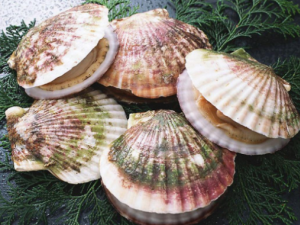 �����ѡ���ʵ��ȱ� �ȱ���Ӫ����ֵ