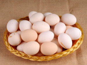 �����ѡ�񼦵� ��ѡ�񼦵���ע������