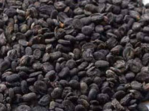 �β���֬�Ĺ�Ч������ �β���֬��ҩ�ü�ֵ