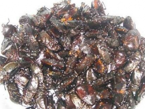 ʲô�Ǵ�ƨ�� ��ƨ���Ӫ����ֵ��ҩ�ü�ֵ