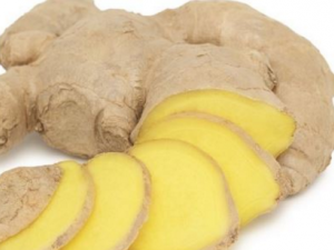 ������ķ��ѷ��� �������ѷ�������