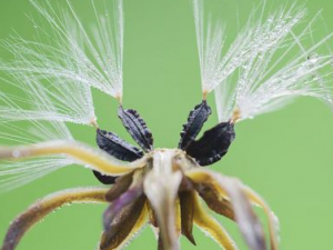 �ѹ�Ӣ��ˮ��3������ñ�� ��֪����