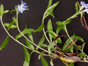 �ӹ����ҵĹ�Ч����