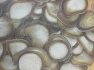 ��Щ�˲��ܳ�¹�� Ů�˳�¹�׵ĺô�