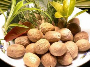 ���ⶹޢ�Ĺ�Ч������ ���ⶹޢ���Ե����̺�