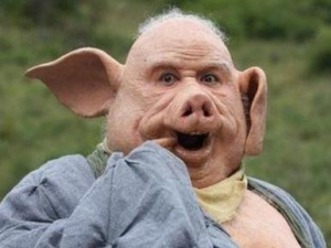 ҧָʲôΣ Ϊʲôϲҧָ