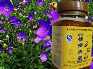 �۹����۵Ĺ�Ч������