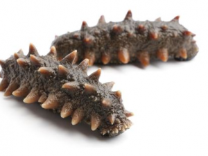 �＾Ӧ����ô�Ժ��� �����Ժ��α��޽��ƳԸ���