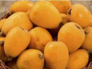 ��ҩƫ����������� �Ͻ��ղذ�