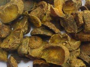 ����ݭ���Ĺ�Ч������