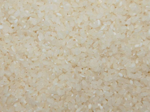 ޲�׺�ʲôһ��������� ��޲������Щ�ô�