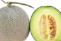 网纹瓜和哈密瓜一样吗 网纹瓜和哈密瓜哪个更营养