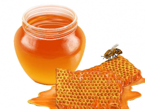 ����ˮʲôʱ��Ⱥ��� ����ˮ�糿��ñ��