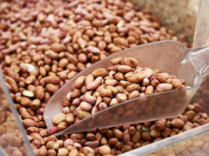 �ǹ������׵����� һ���С��ѧѧ��