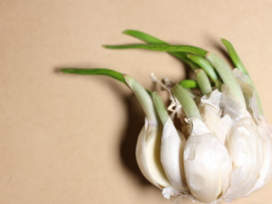 ��Щ������ѿ���ܳ� ��Щ������ѿ���Ӫ����ֵ����