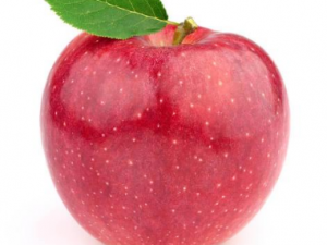 ƻ������Щ���� ��ƻ����ֹк��