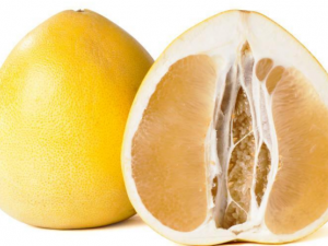 ��������Щ��Ч ���Ӷ����彡���ĺô�