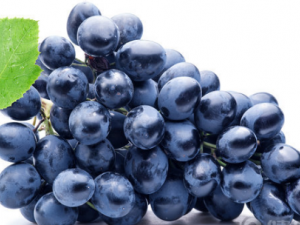 ���������ѡ�� ʲô��������������