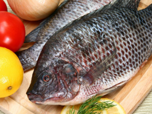 �����ѡ�������� ������������Щ����