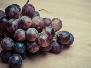 ����ƶѪ��ԭ�� ���Ԥ������ƶѪ