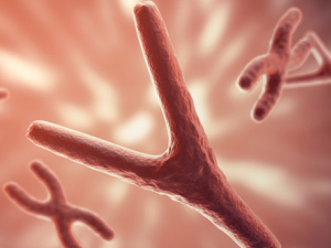 �Ŵ�������ʲô���� �����Ŵ���������˭