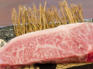 �����������������֬Ŷ