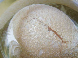 ���ݼ������������ ��֪����