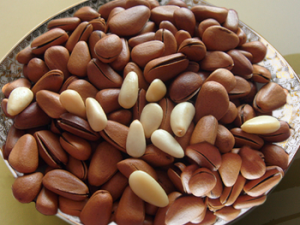 ���ӵ�Ӫ���ص� С���Ƽ��������ӵĽ����Է�