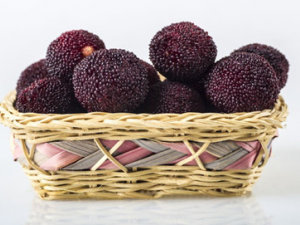 Զ÷˵Ļ ʲô˲ʺϳ÷