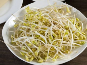 ��ѿ����ЩӪ����ֵ �س���ѿ������