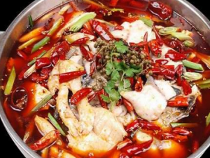 ����ҩ���ܳ�ʲô ����ҩ��ʱ��Ҫע����Щ��ʳ�Ľ���