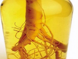 �˲ξ�Ӧ����ôѡ���� �˲ξƵ����õĽ���