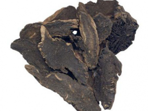 ���εĹ�Ч����������Щ��